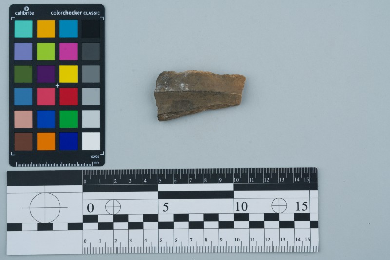 Вінчик посудини