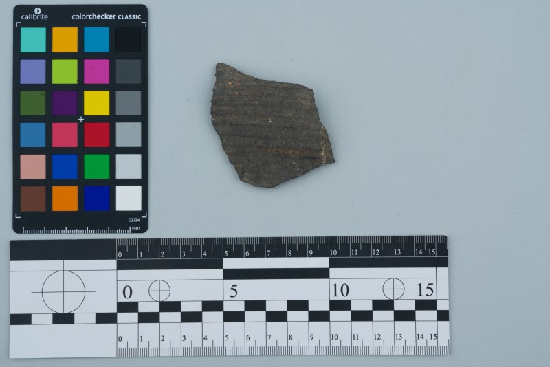 Боковина посудини