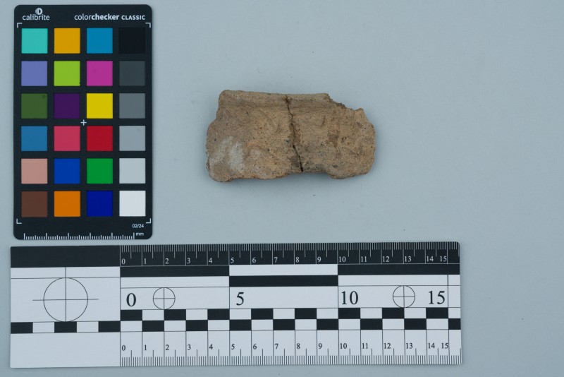 Вінчик посудини