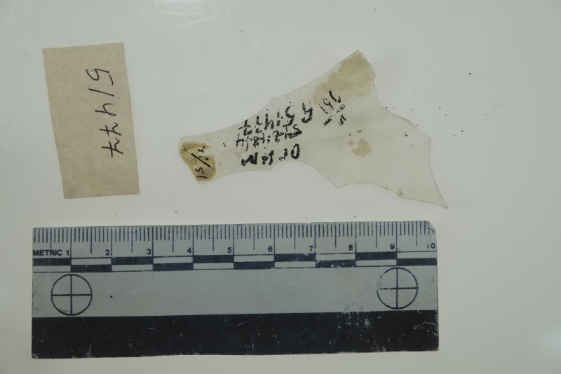 Фрагмент стінки