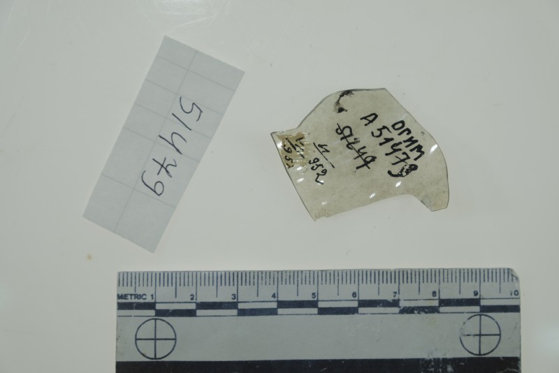 Фрагмент стінки