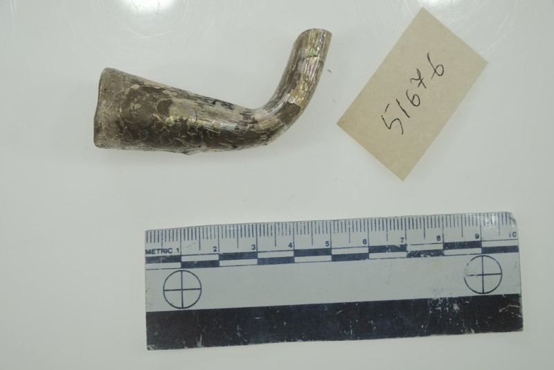 Фрагмент горлишка