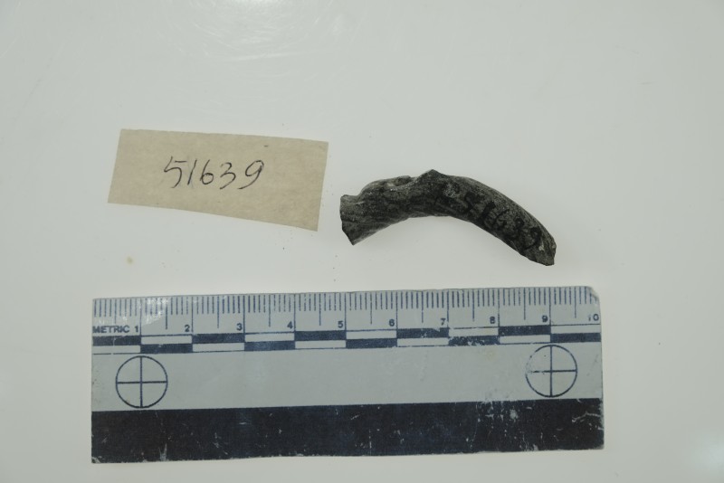 Фрагмент браслета