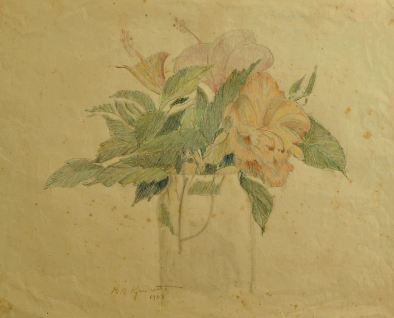 Гібіскус. Каракас. 1948