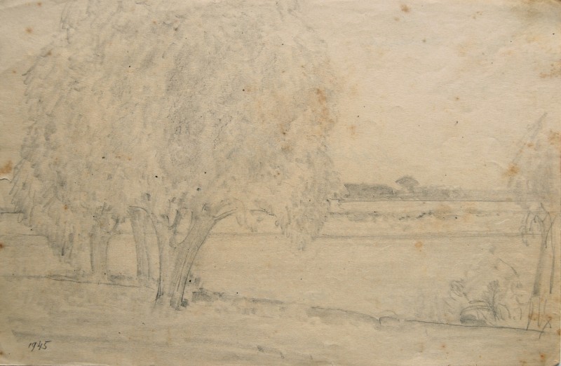 Дерева. Франція. 1945