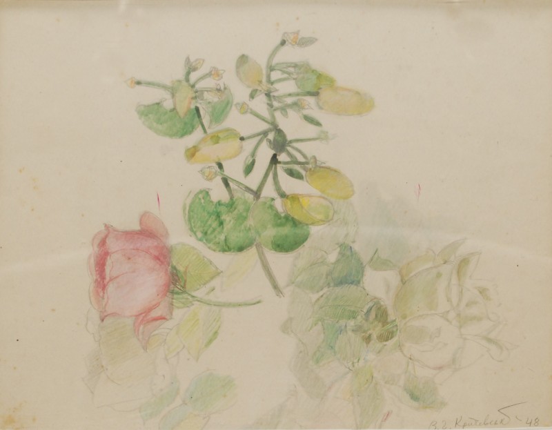 Етюд квітів. Каракас. 1948