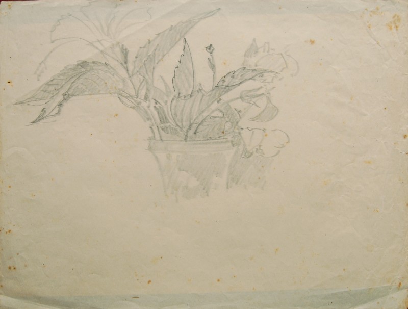 Начерк квітів.