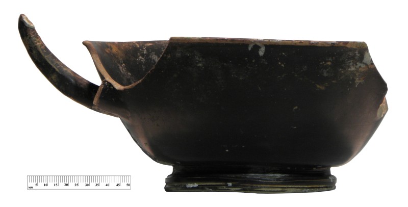 Кілік чорнолаковий