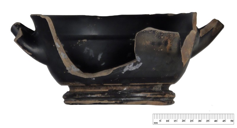 Кілік чорнолаковий