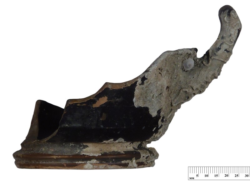 Кілік чорнолаковий