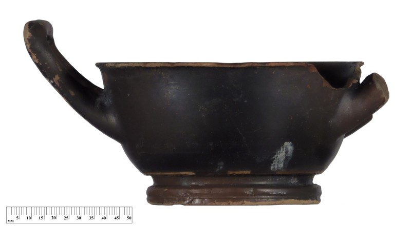 Кілік чорнолаковий