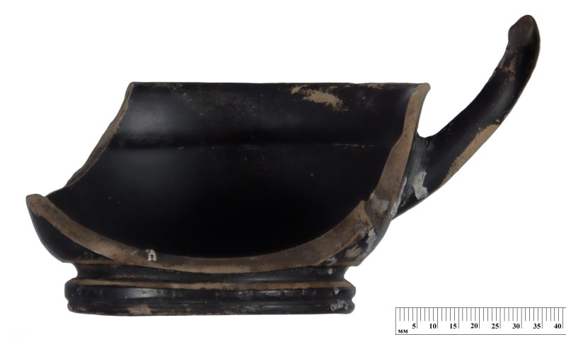 Кілік чорнолаковий