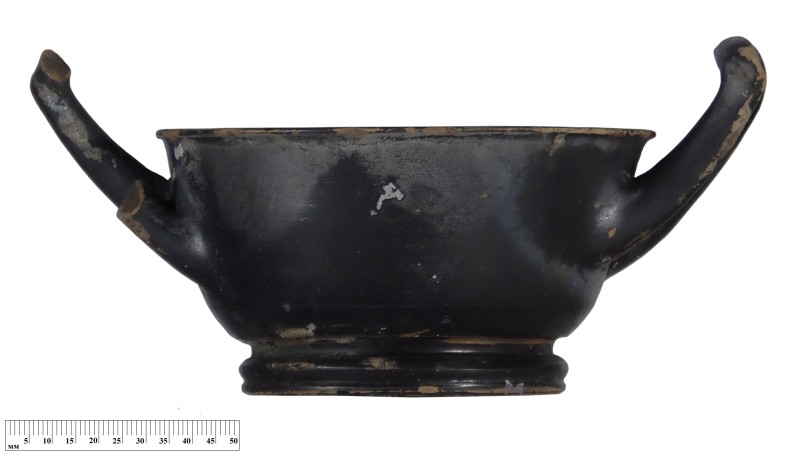 Кілік чорнолаковий