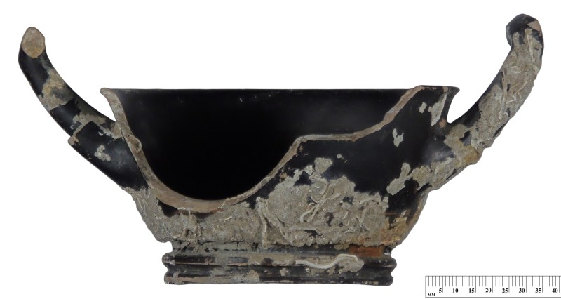 Кілік чорнолаковий