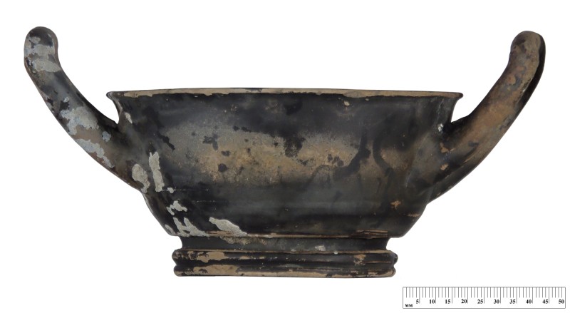 Кілік чорнолаковий