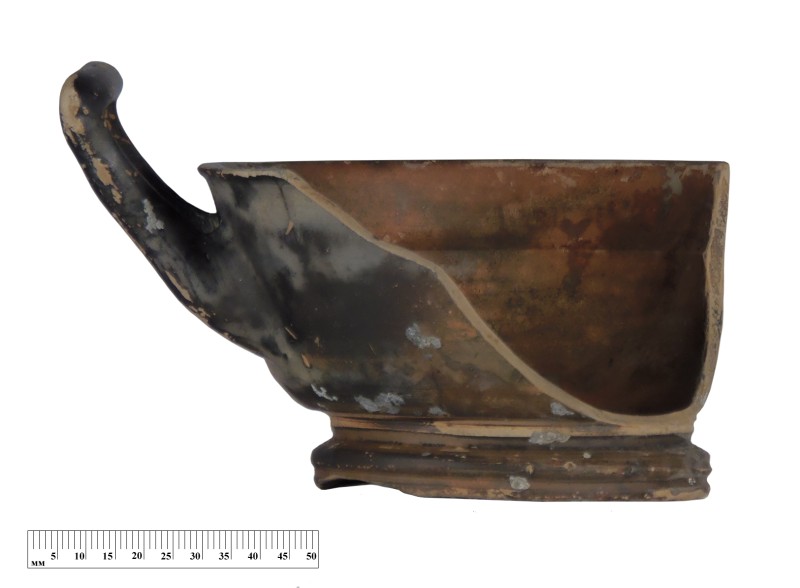 Кілік чорнолаковий