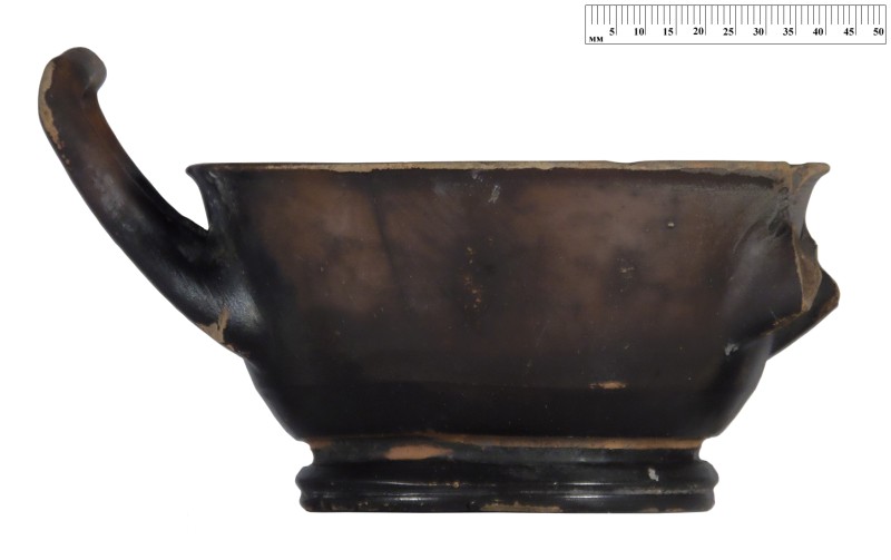 Кілік чорнолаковий