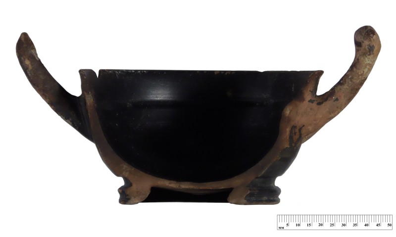 Кілік чорнолаковий