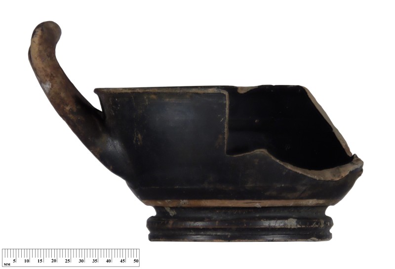 Кілік чорнолаковий