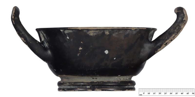 Кілік чорнолаковий