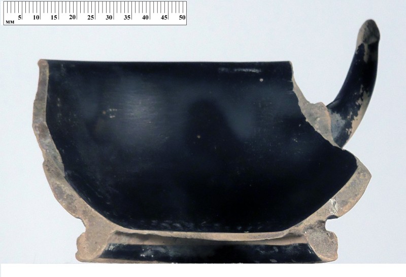 Кілік чорнолаковий