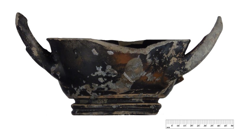 Кілік чорнолаковий