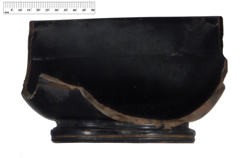 Кілік чорнолаковий