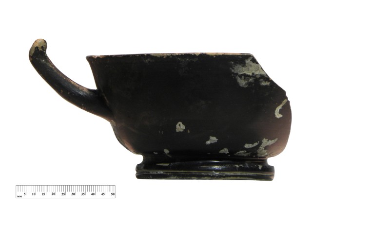 Кілік чорнолаковий