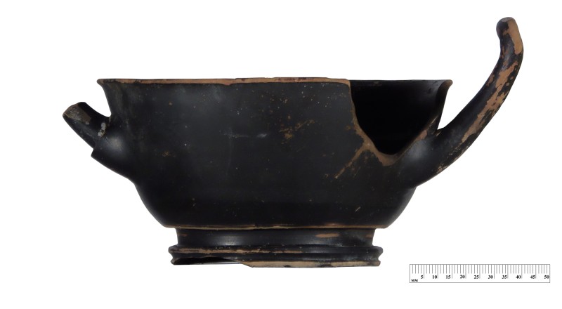 Кілік чорнолаковий