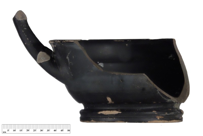 Кілік чорнолаковий