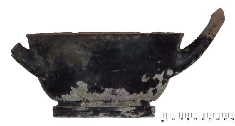 Кілік чорнолаковий