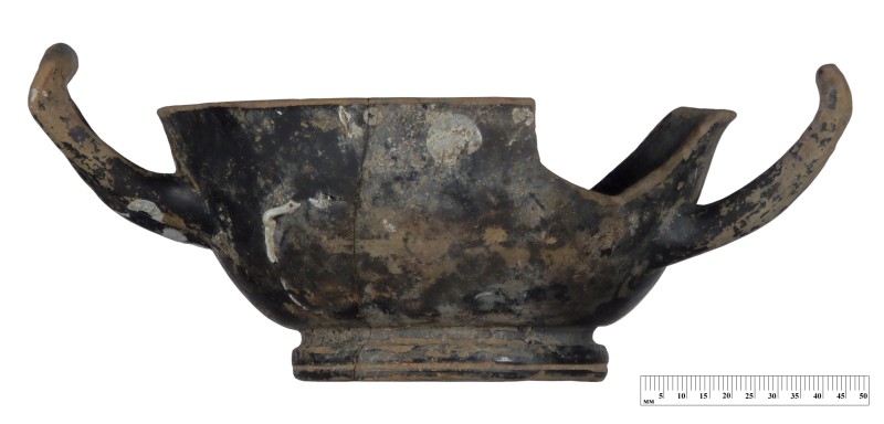 Кілік чорнолаковий