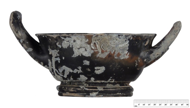 Кілік чорнолаковий