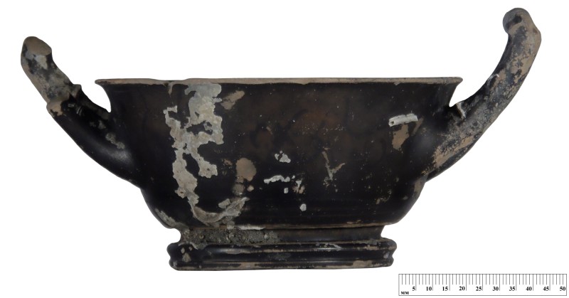 Кілік чорнолаковий