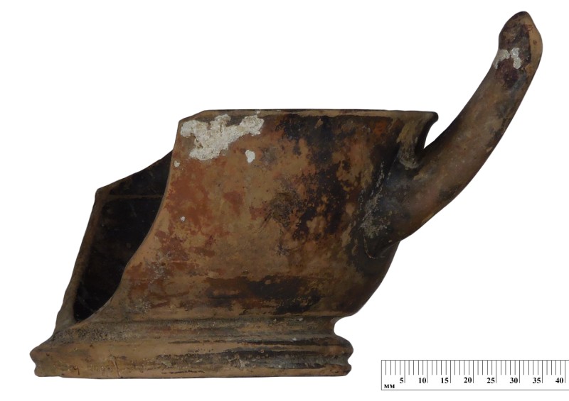 Кілік чорнолаковий