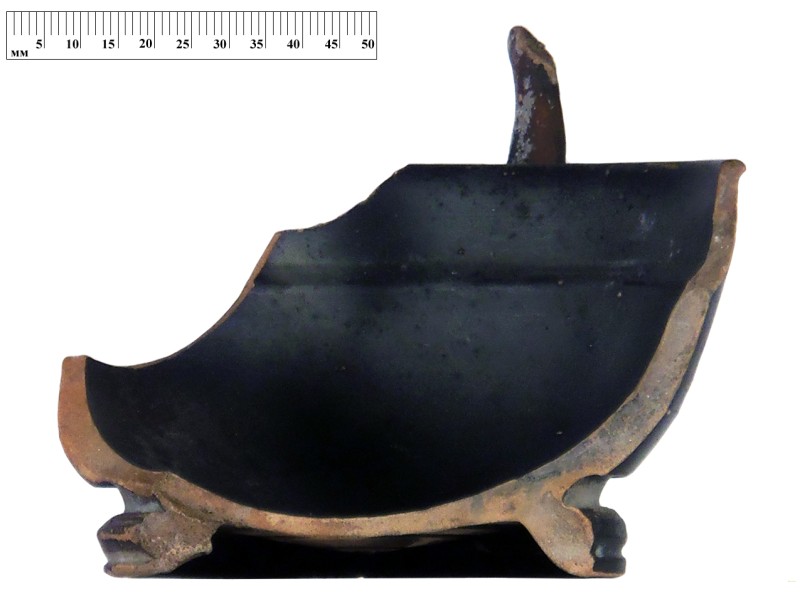 Кілік чорнолаковий