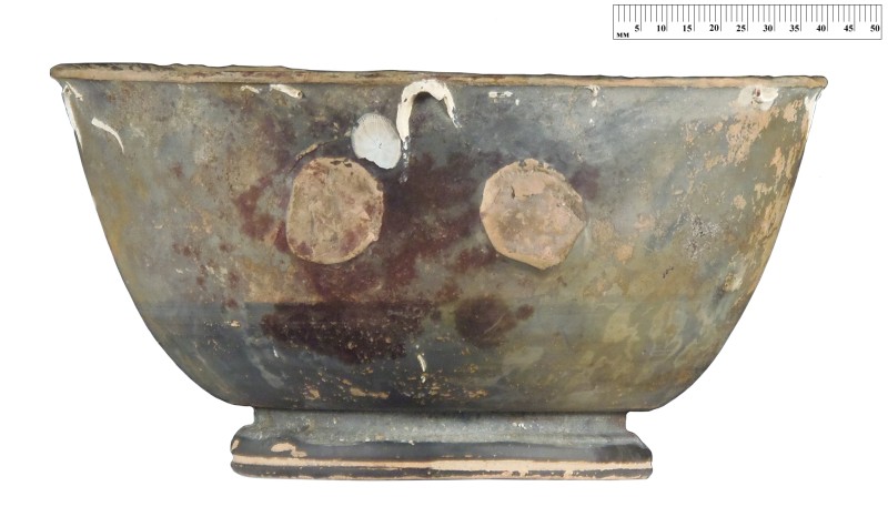 Кілік чорнолаковий