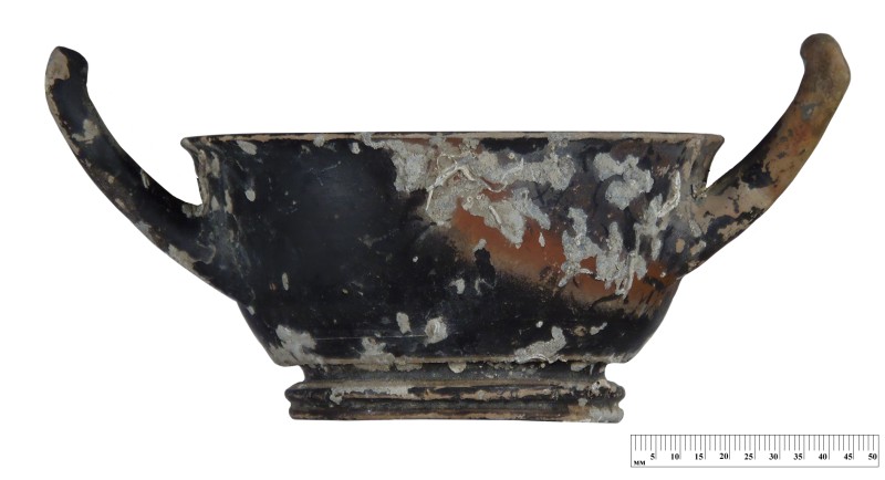 Кілік чорнолаковий