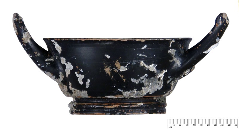 Кілік чорнолаковий