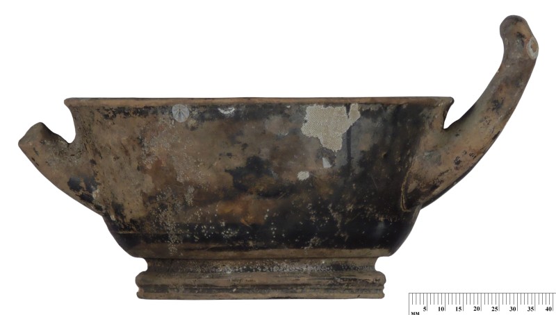 Кілік чорнолаковий