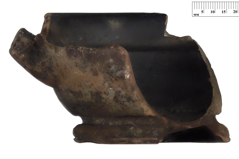 Кілік чорнолаковий