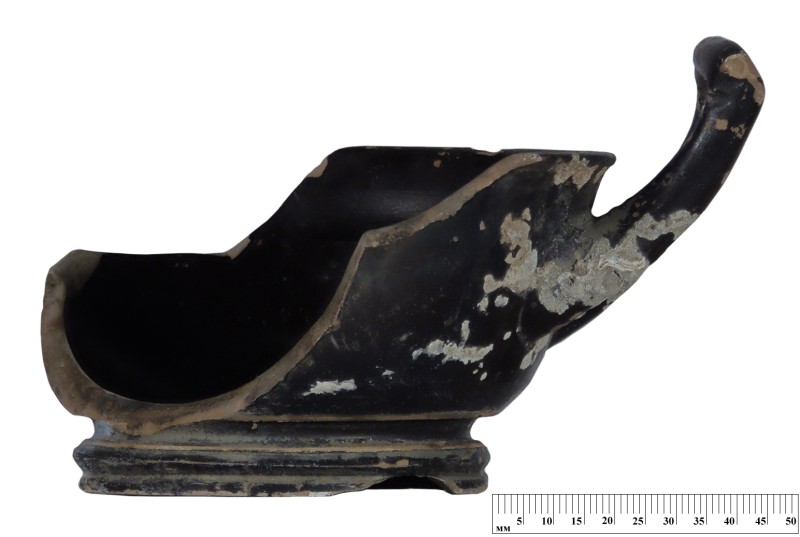 Кілік чорнолаковий