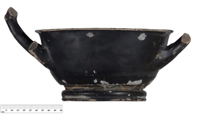 Кілік чорнолаковий