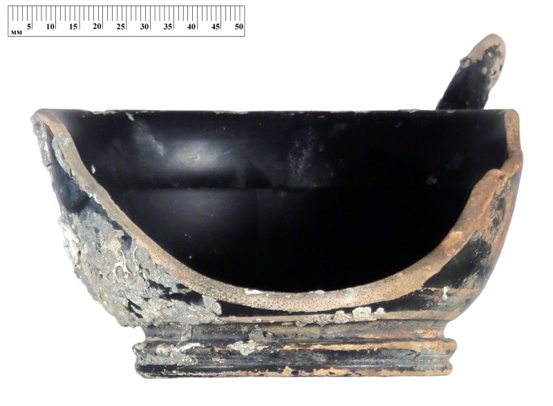 Кілік чорнолаковий