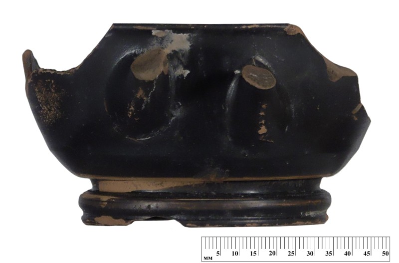 Кілік чорнолаковий