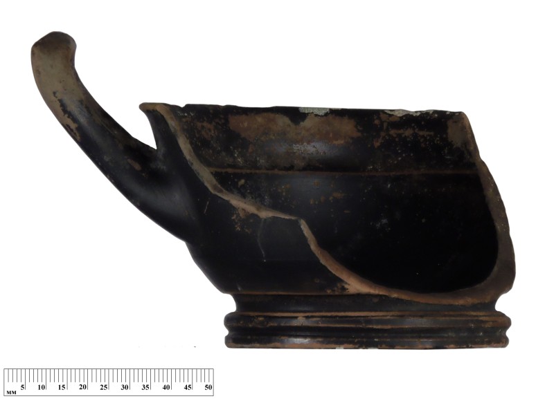 Кілік чорнолаковий