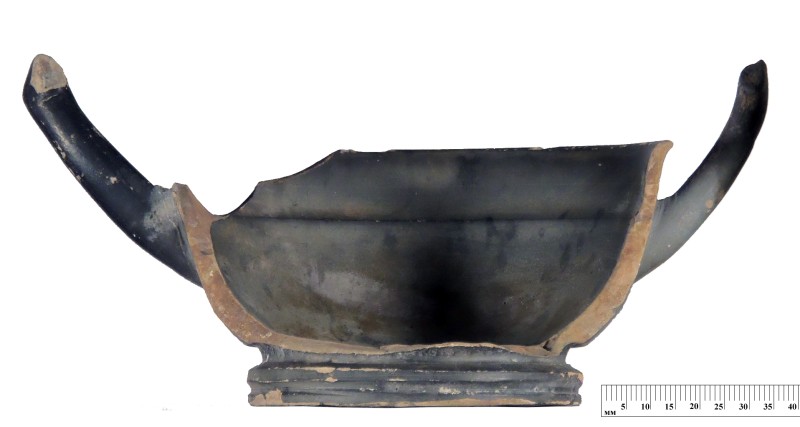 Кілік чорнолаковий