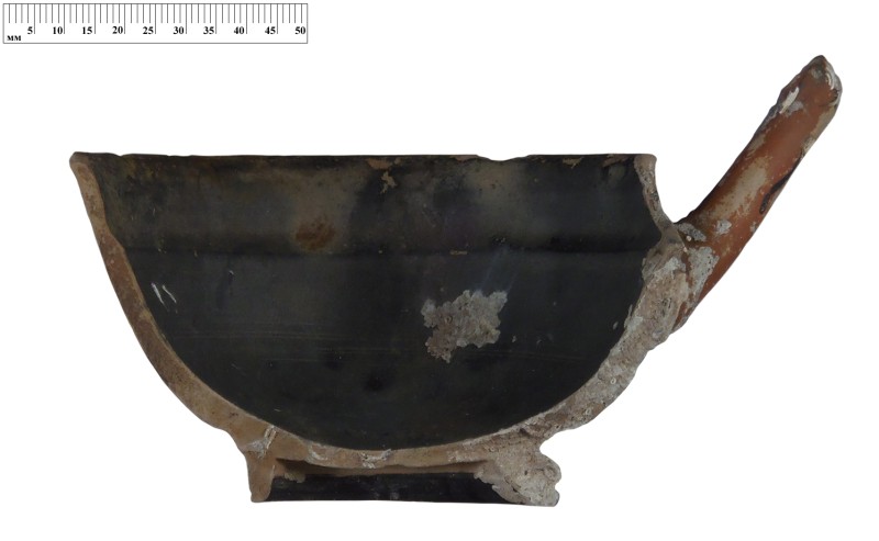 Кілік чорнолаковий