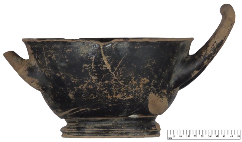 Кілік чорнолаковий