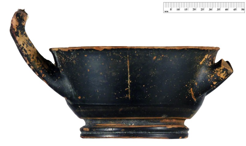 Кілік чорнолаковий